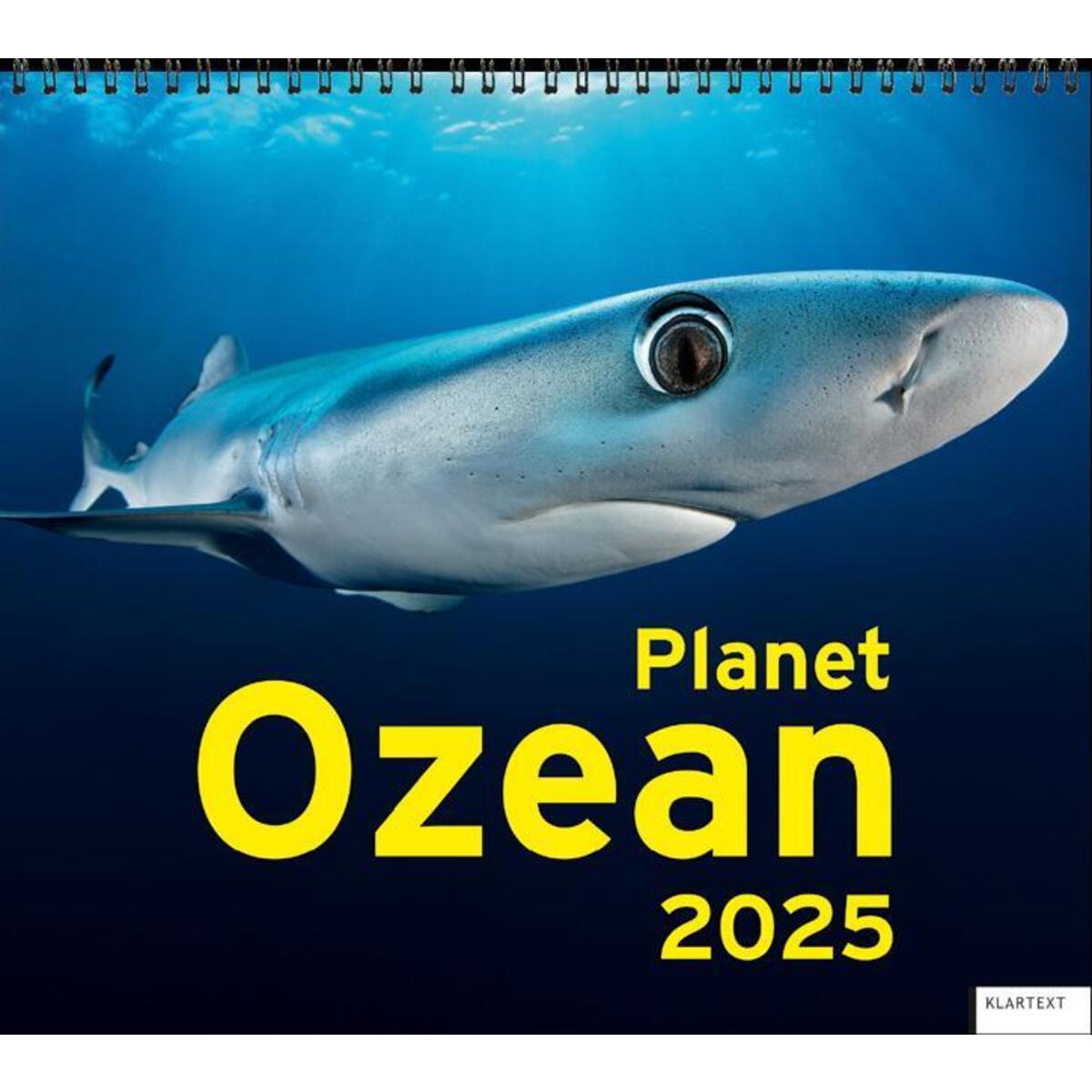Kalender Planet Ozean 2025 von Klartext Verlag